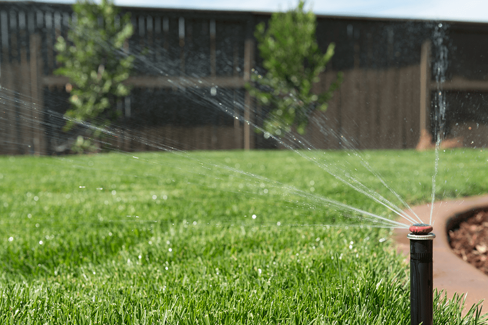 landscaping